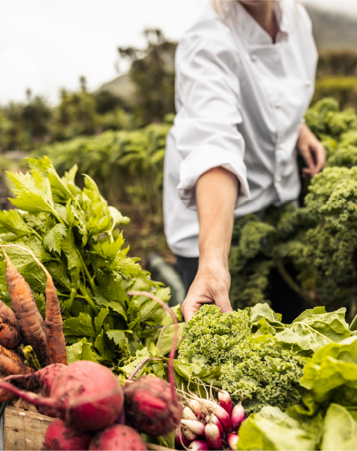 quote-image-voedseltransitie